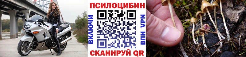 купить   Ульяновск  Галлюциногенные грибы Magic Shrooms 